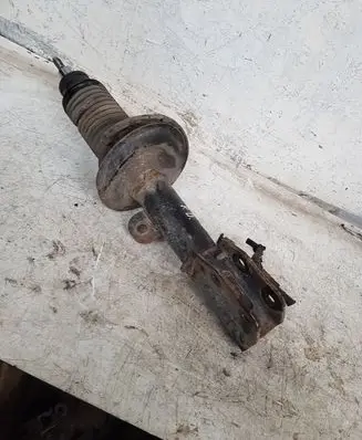 Opel Antara Front shock absorber/damper
