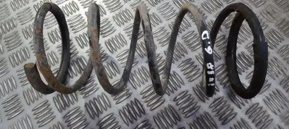 Rear coil spring