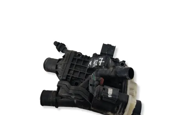 Citroen C4 Grand Picasso Thermostat/thermostat housing 9804160380 41047765