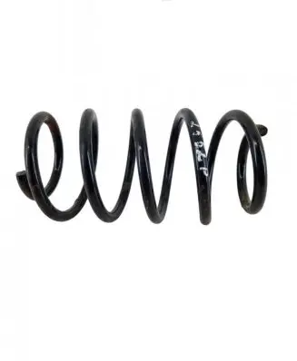Front coil spring