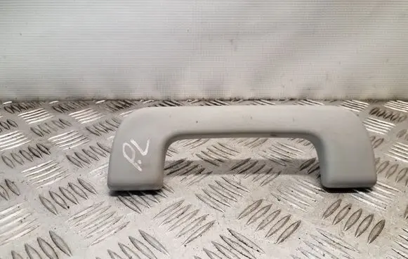 Front interior roof grab handle