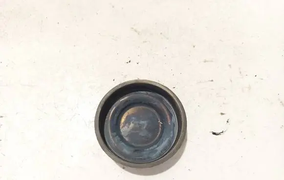 Skoda Roomster (5J) Headlight/headlamp dust cover p3242