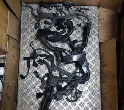 Lexus UX Engine installation wiring loom