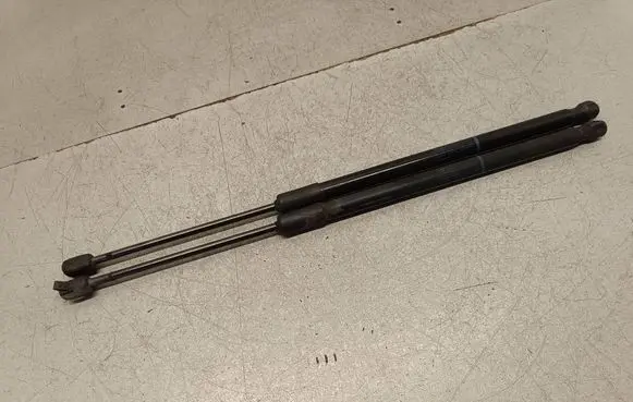 Tailgate/trunk strut/damper
