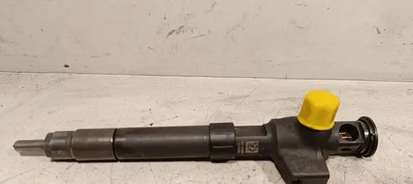 Ford Kuga II Fuel injector 28388960 9674984080