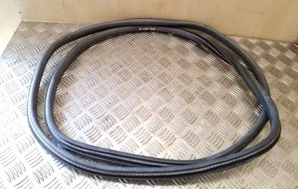 Citroen C4 I Front door rubber seal 9647250599