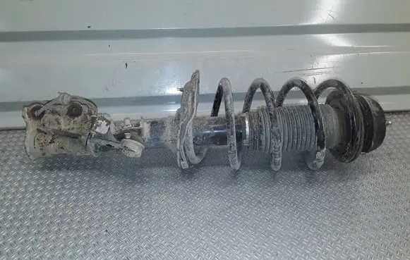 Hyundai i20 (PB PBT) Front shock absorber with coil spring