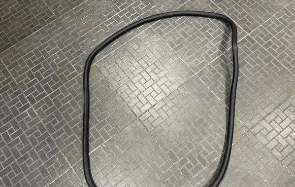 Ford Edge II Front door rubber seal 