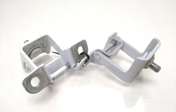 Renault Zoe Loading door hinge set 844005848R
