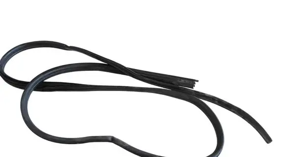 Renault Trafic III (X82) Rubber seal front coupe door 