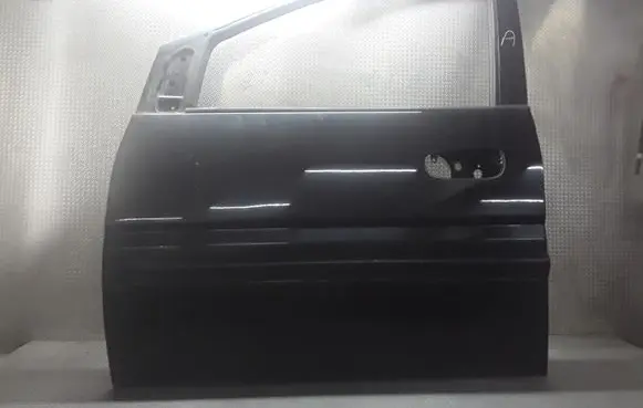 Hyundai Matrix Front door