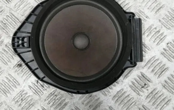 Opel Adam Front door speaker 13395989 140429 434107865671