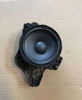 Rear door speaker