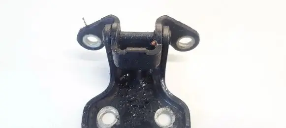 Chevrolet Captiva Rear door lower hinge