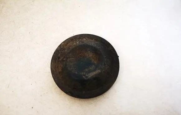 Renault Scenic II - Grand scenic II Headlight/headlamp dust cover 153874