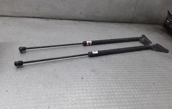 Tailgate/trunk strut/damper