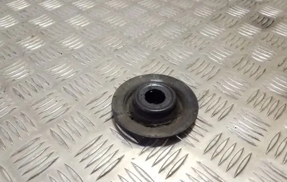 Coil spring mount