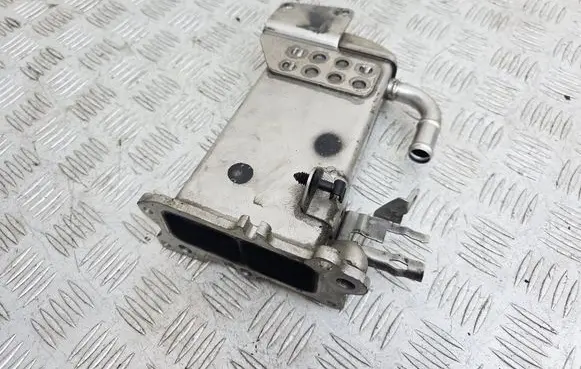 EGR valve cooler