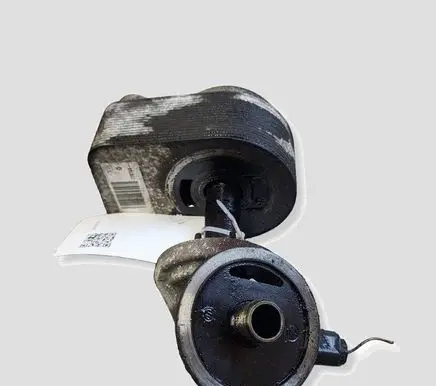 Renault Clio III Oil filter mounting bracket 779744
