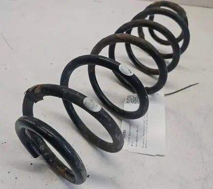 Rear coil spring