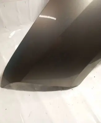 Renault Fluence Fender