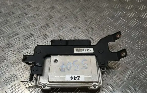 Hyundai i40 Engine control unit/module 391252A235