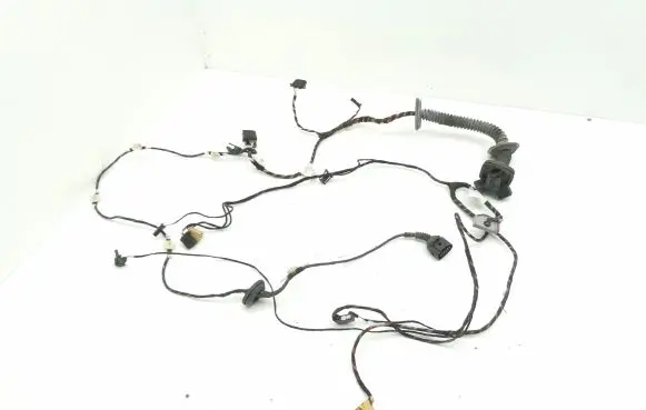Front door wiring loom