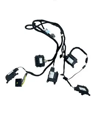 Other wiring loom