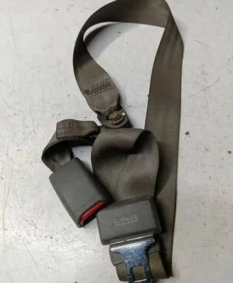 Middle seatbelt buckle (rear)