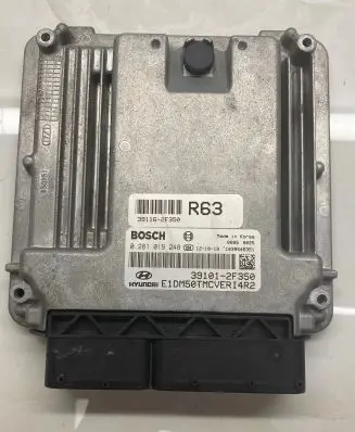 Hyundai Santa Fe Engine control unit/module 0281019248 391162F350 391012F350
