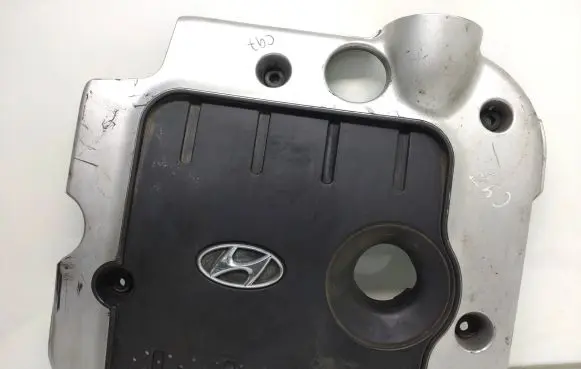 Hyundai Santa Fe Engine cover (trim)