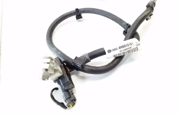 Audi A8 S8 D4 4H Negative earth cable (battery) 4G0915181