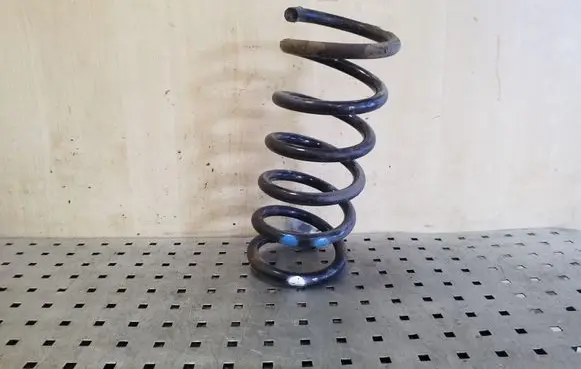Chevrolet Captiva Rear coil spring