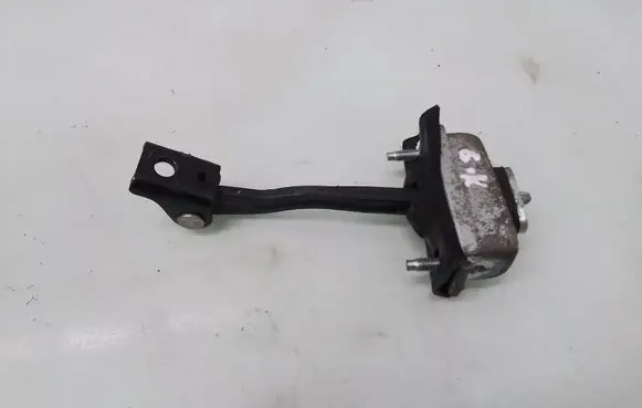 Ford Focus Rear door check strap stopper