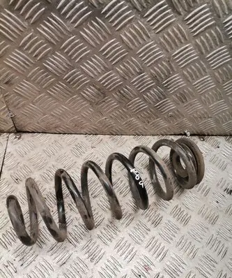 Volkswagen PASSAT B6 Rear coil spring