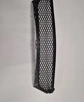 Mercedes-Benz SLK R171 Front bumper lower grill A1718850123