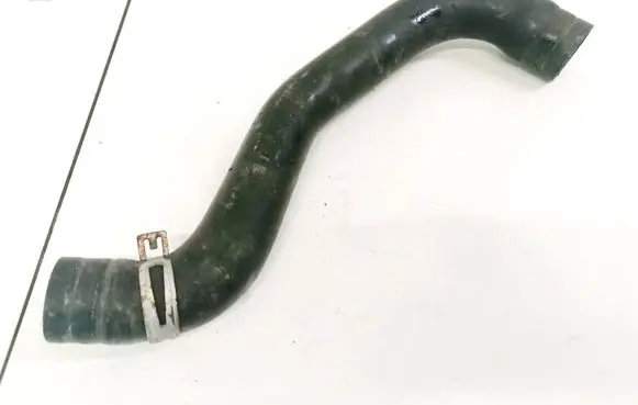 Lancia Phedra Engine coolant pipe/hose