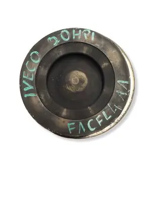Iveco Daily 6th gen Piston with connecting rod F1CFL411