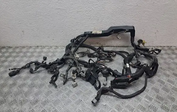 Engine installation wiring loom
