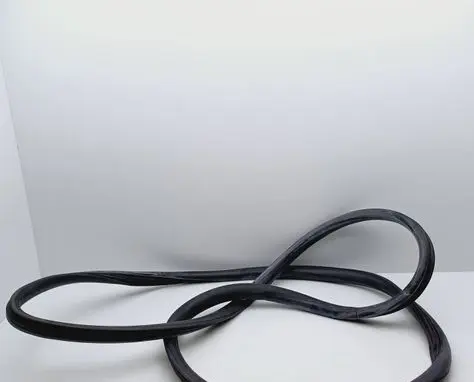 Volkswagen Lupo Front door rubber seal 