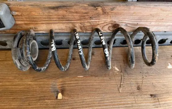 Honda Civic Rear coil spring