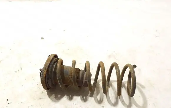 Rear coil spring