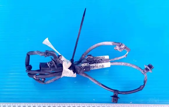 Ford Focus Other wiring loom JX6T14B599GEBD