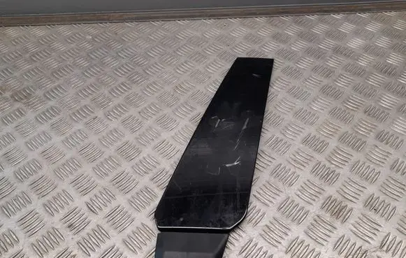 Audi A5 Front door glass trim molding 8W8853289