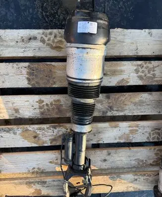 Mercedes-Benz ML W166 Air suspension front shock absorber A1663201413 F309513902