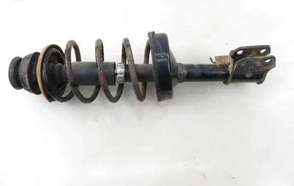 Renault Kangoo I Front shock absorber with coil spring 