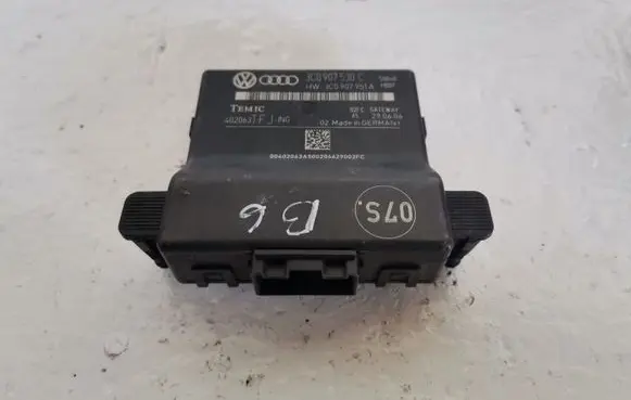 Volkswagen PASSAT B6 Gateway control module 3C0907530C
