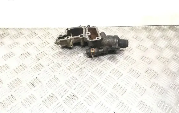 Thermostat/thermostat housing