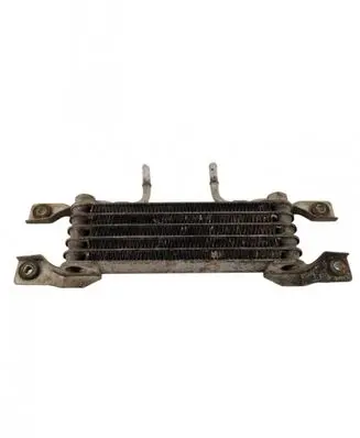 Opel Antara Power steering radiator 