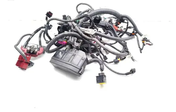 Nissan Qashqai Engine installation wiring loom 24072HV01A